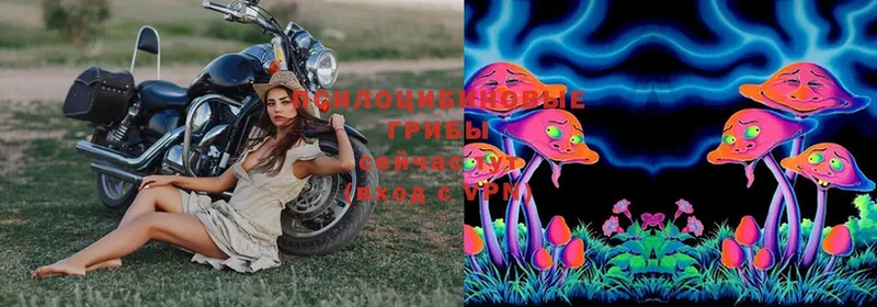 OMG ТОР  Тосно  Галлюциногенные грибы Magic Shrooms  дарнет шоп 